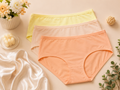Mint Comfort Classic Trio Panty Set